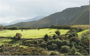 Ireland best embodies the Islamic values of opportunity and justice, according to a survey by a leading US academic. Photo: Rex (file photo: County Kerry, Ireland)