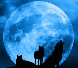 werewolves-in-blue